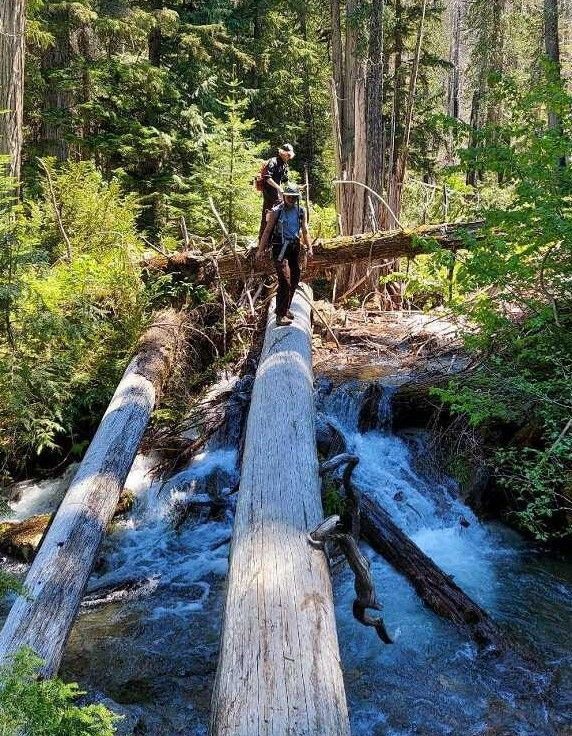 A crew member attempts to walk across a log crossing above a creek.