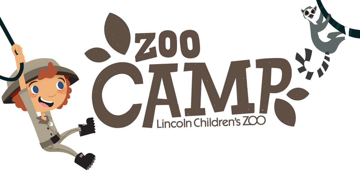 Summer Zoo Camps