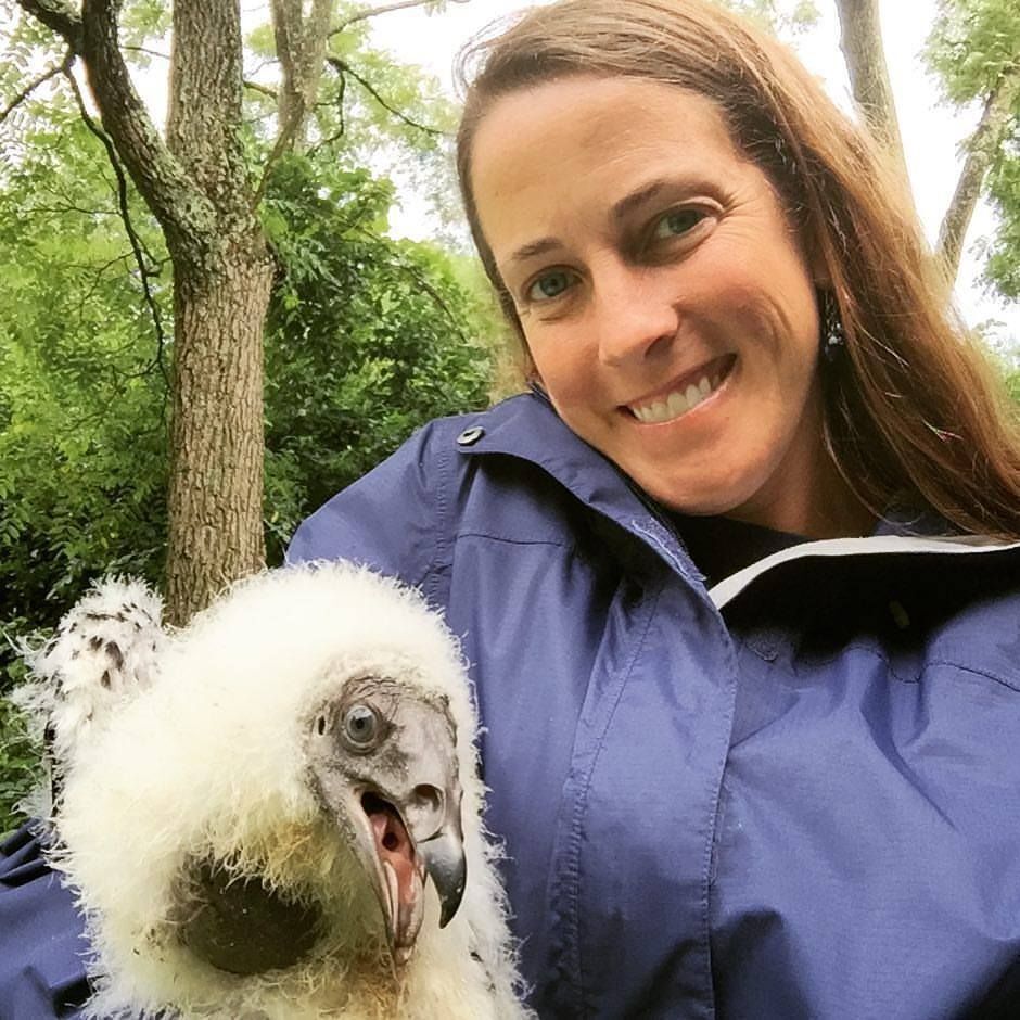 Raptor Festival Presenter: Katie Fallon