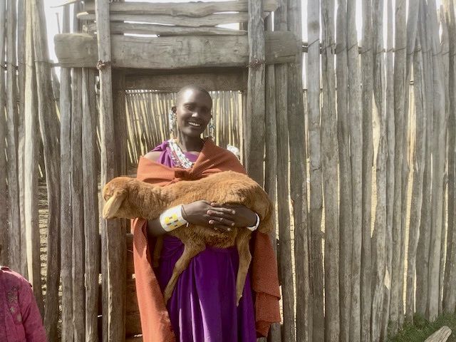 Masai Goats & Sheep