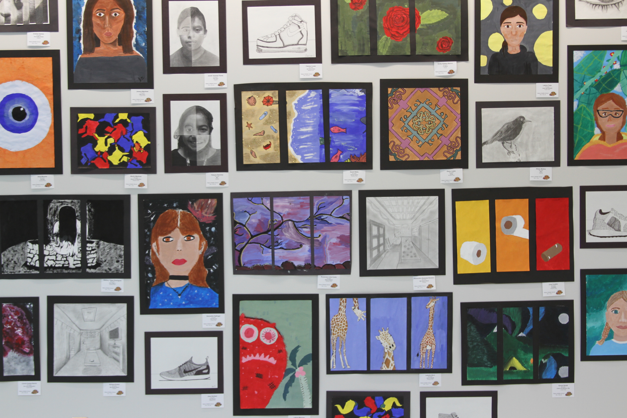 Hall County Student Art Show