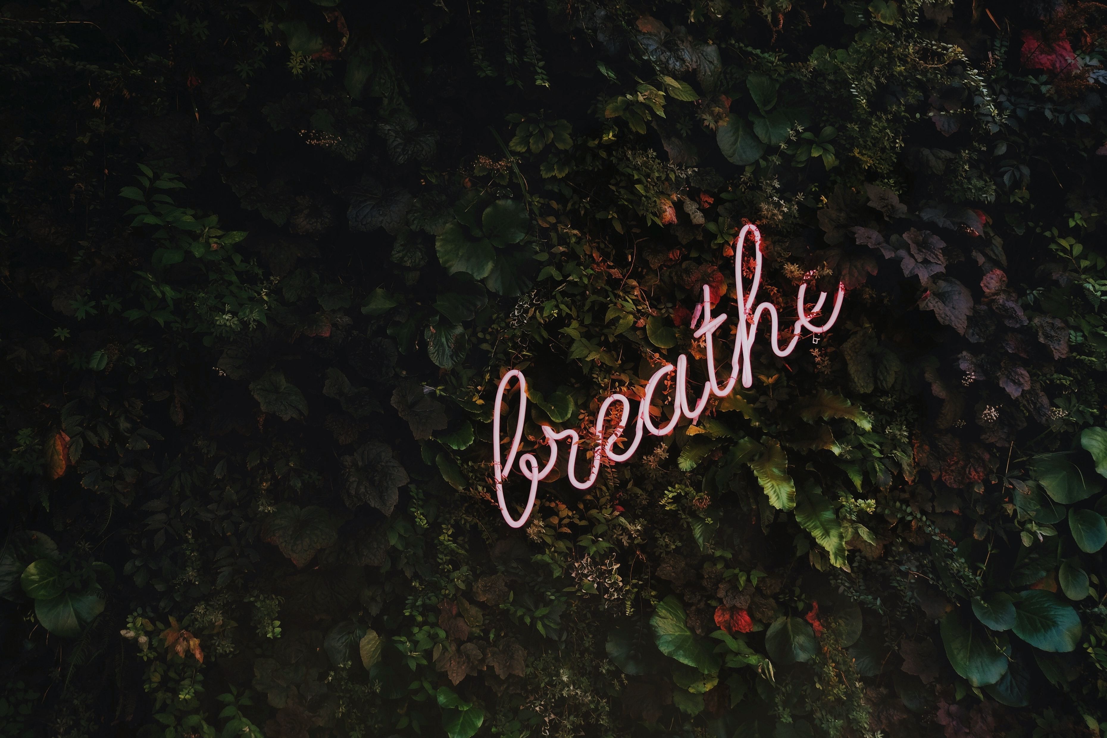Neon sign stating "breathe" surrounded by green plants.