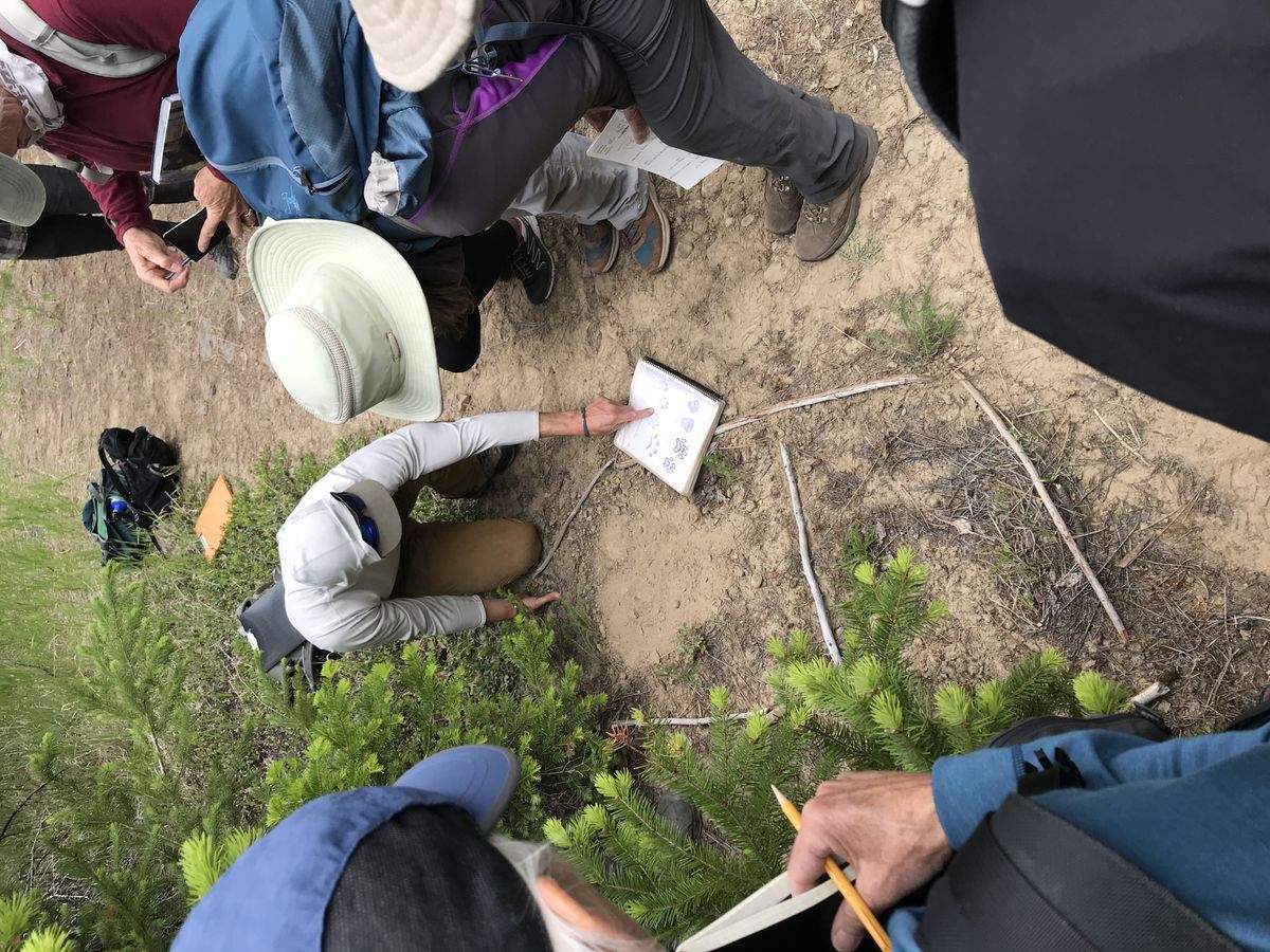 picture from a tracking course