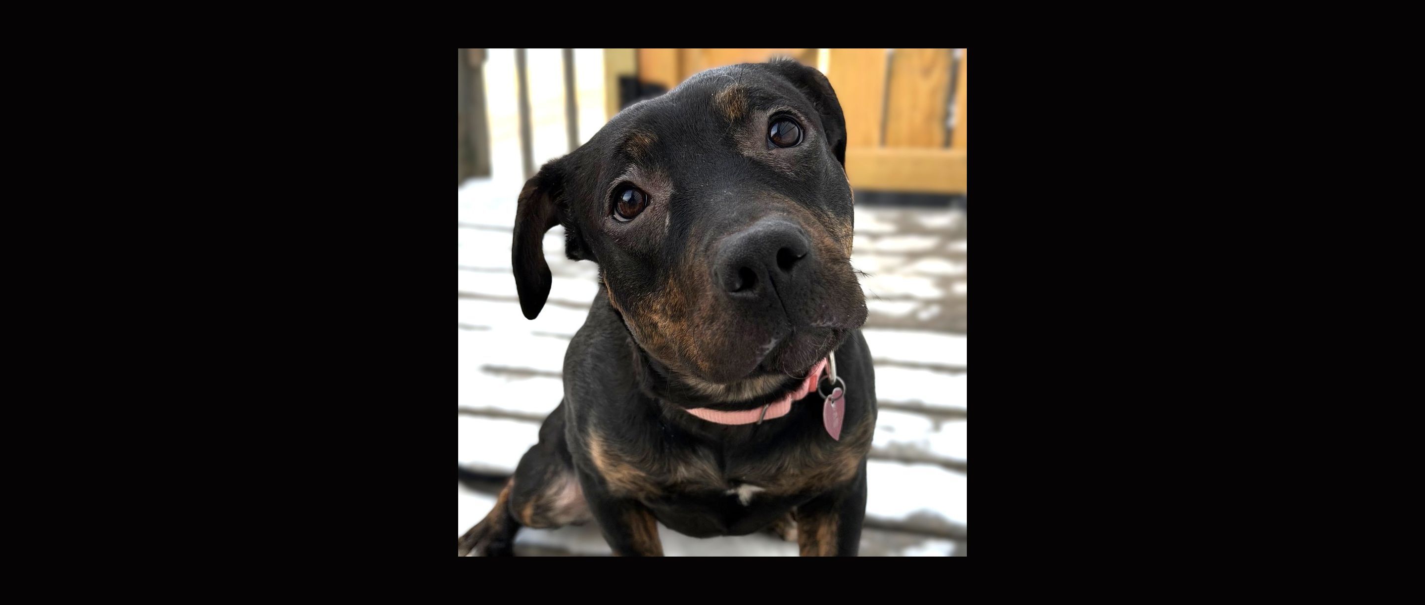 Help us save lives...