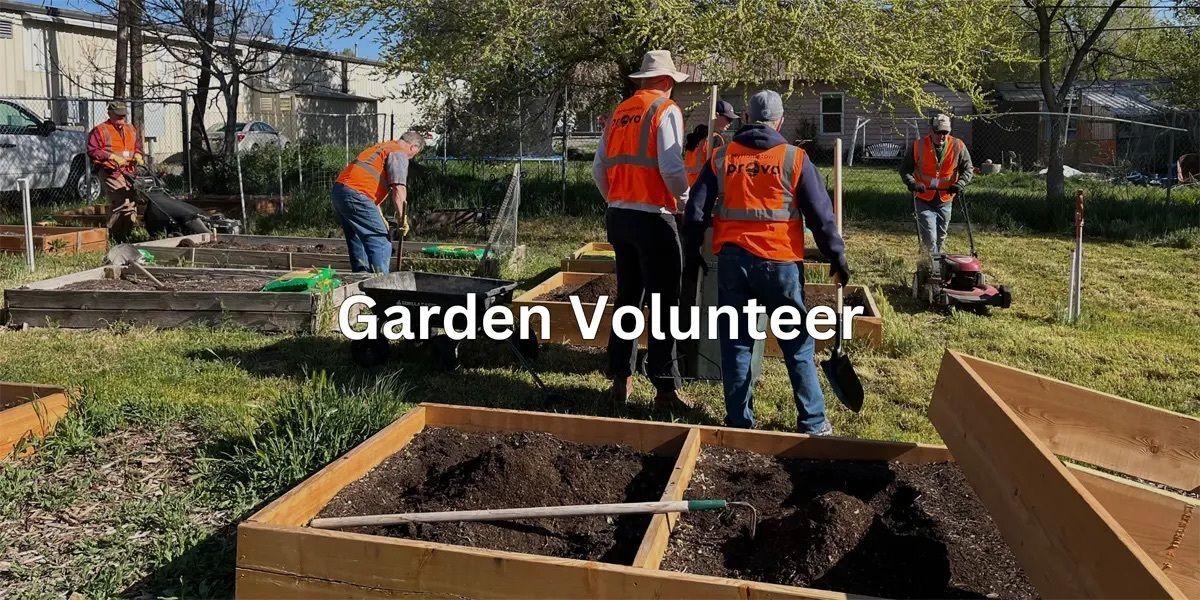 Garden Volunteer