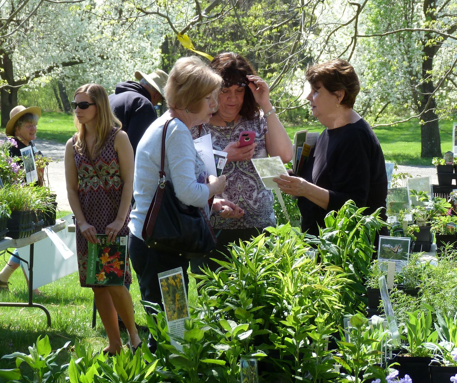 Loudoun Wildlife Conservancy Native Plant Sale Calendar of Events
