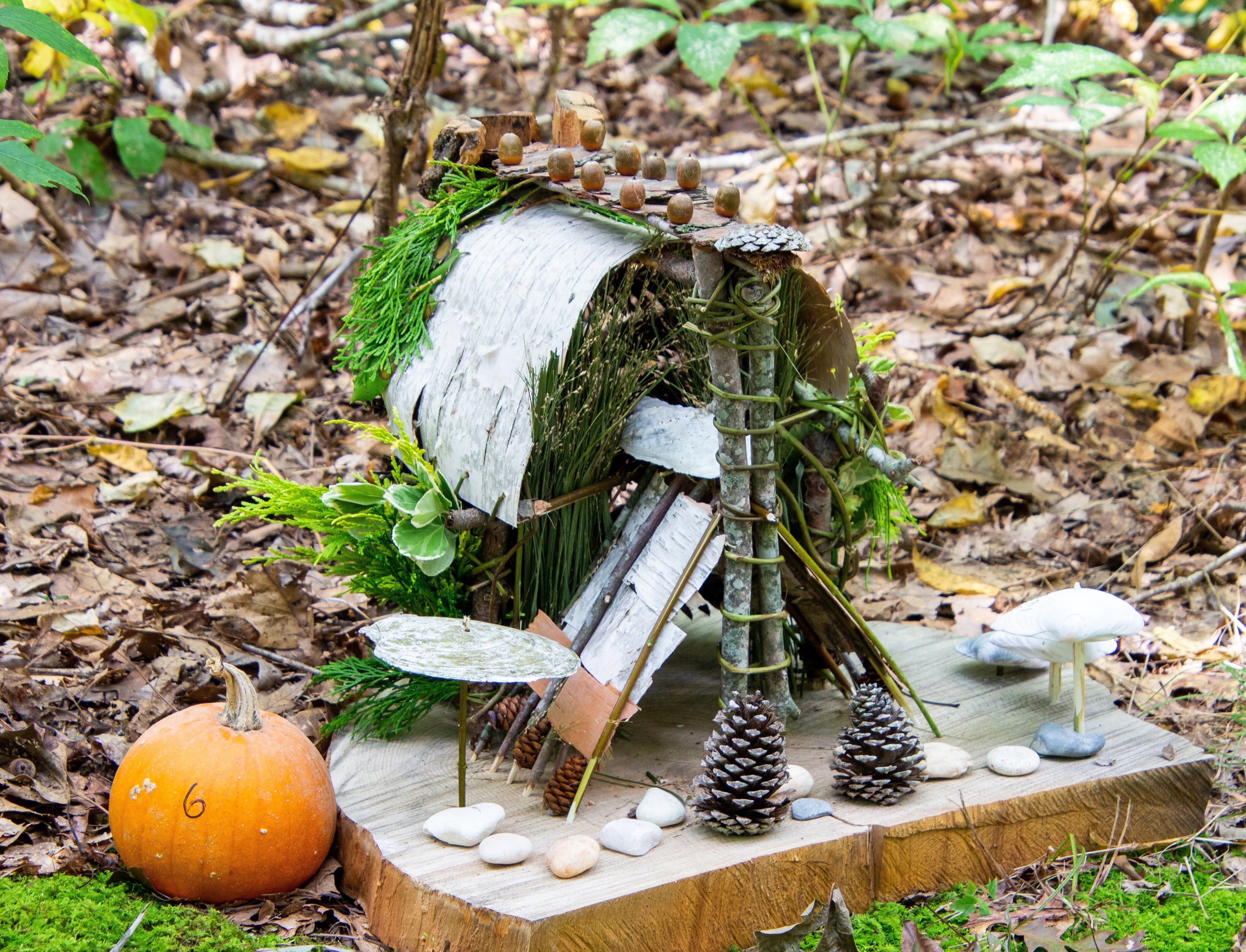 The Great Fairy House Challenge: September 17–25