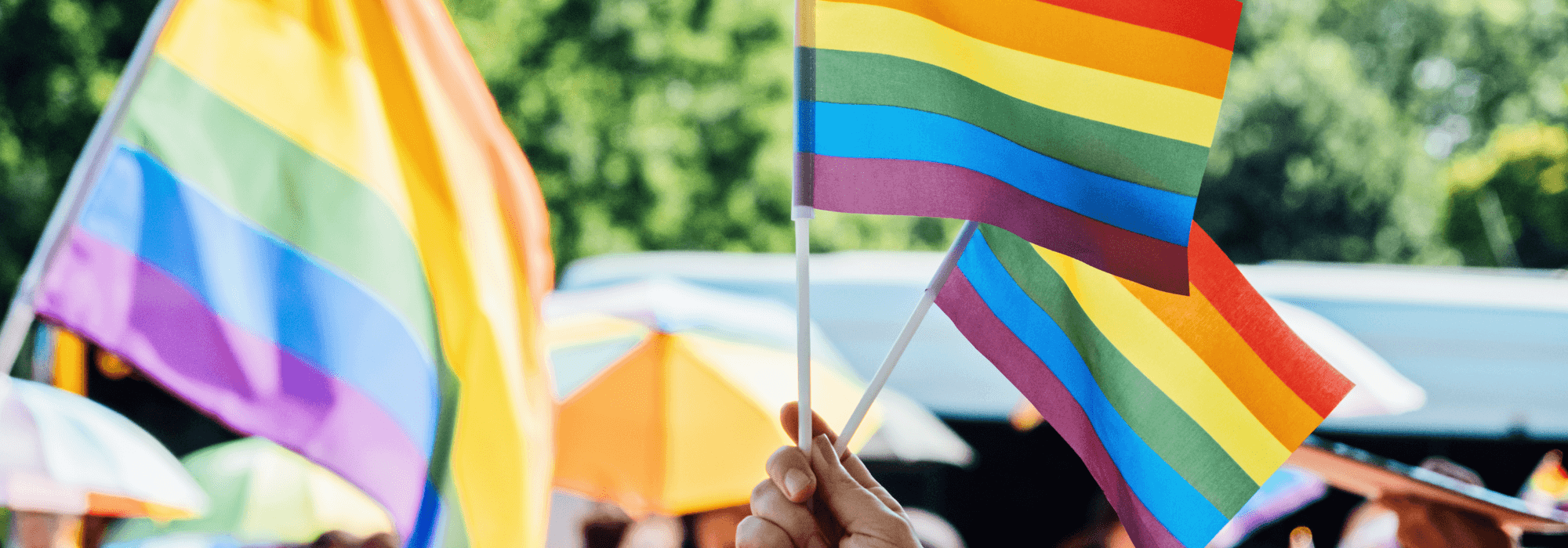 Exclusive Pride Merch