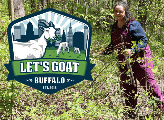 Sister Jacqueline clears invasive species from monastery grounds
