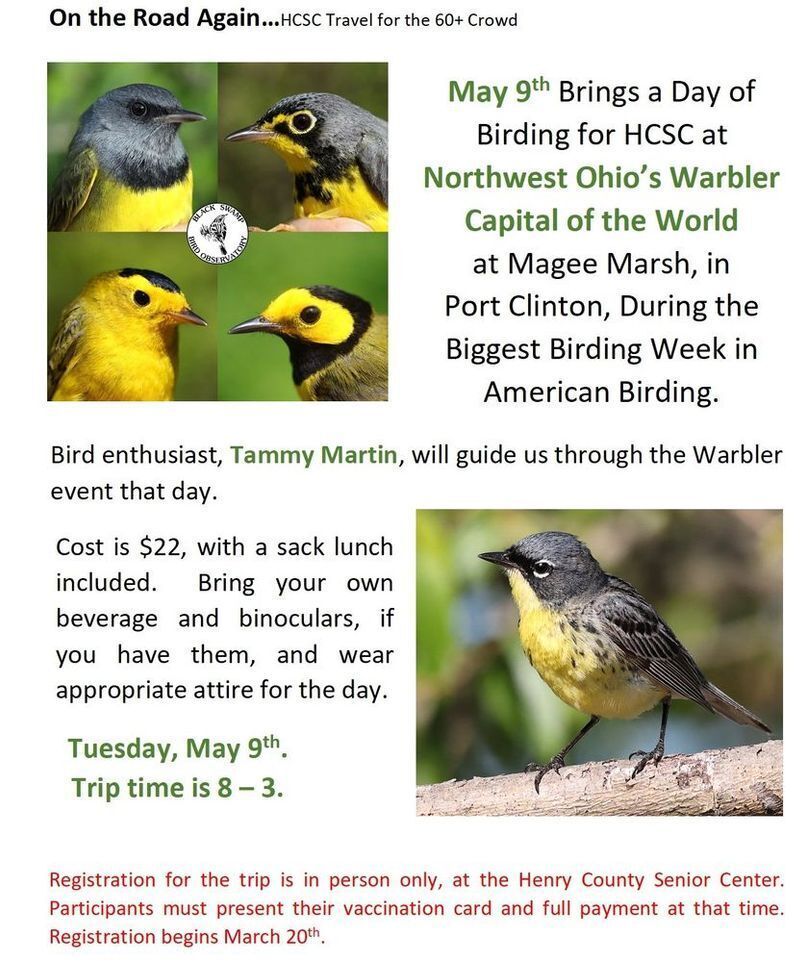 May 9 Birds in Magee Marsh