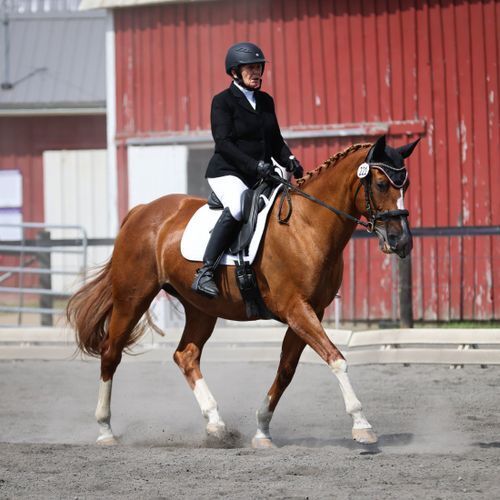Bonnie Binger and Coral Beach (NY)