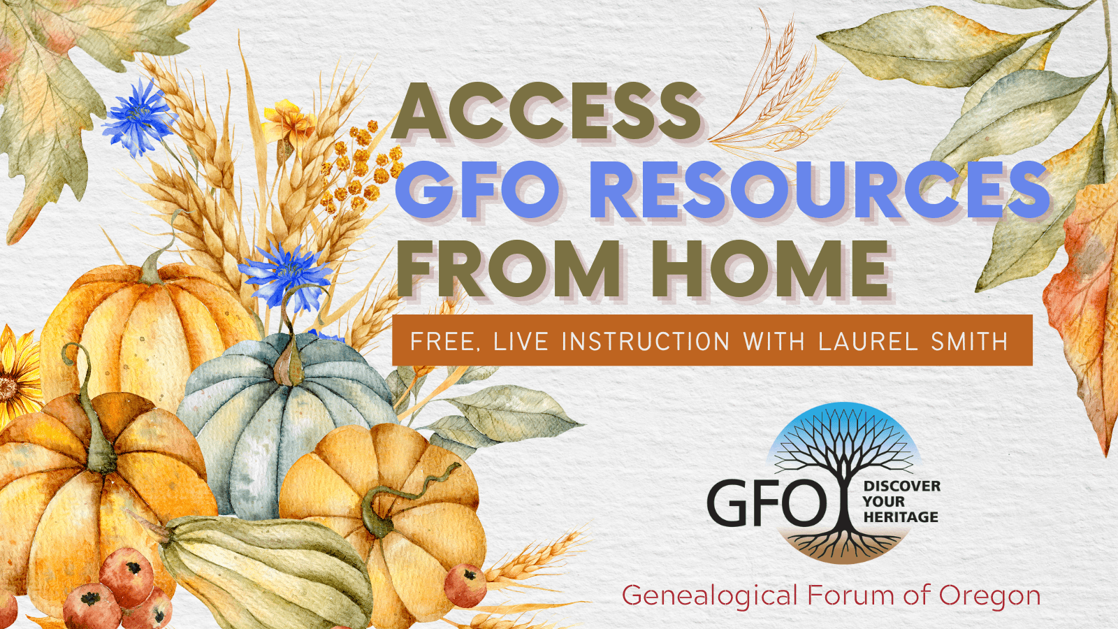 Access GFO Resources from Home