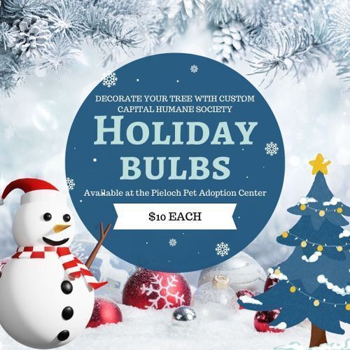 Holiday Bulbs