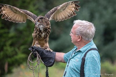 Environmental education animals, Raptor Weekend, Audubon Society of Rhode Island, Nature Programs