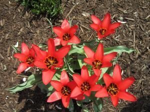 Daily Prayer March 6