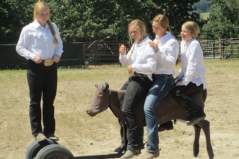 Horse Committee