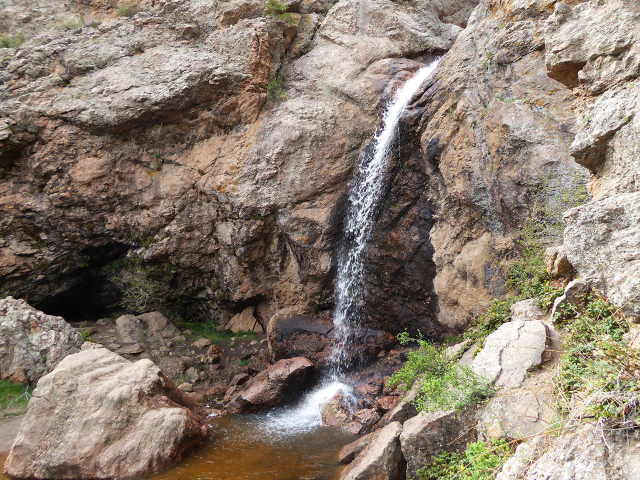 Backpacks+ Bleeders: Fort Collins Summer Hike