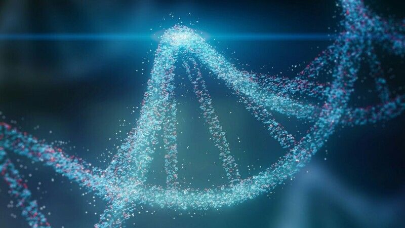 Can Gene Therapy Change the Course of Alzheimer’s?