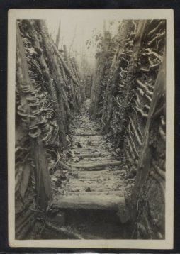 Historic black and white photograph of a World War one trench 