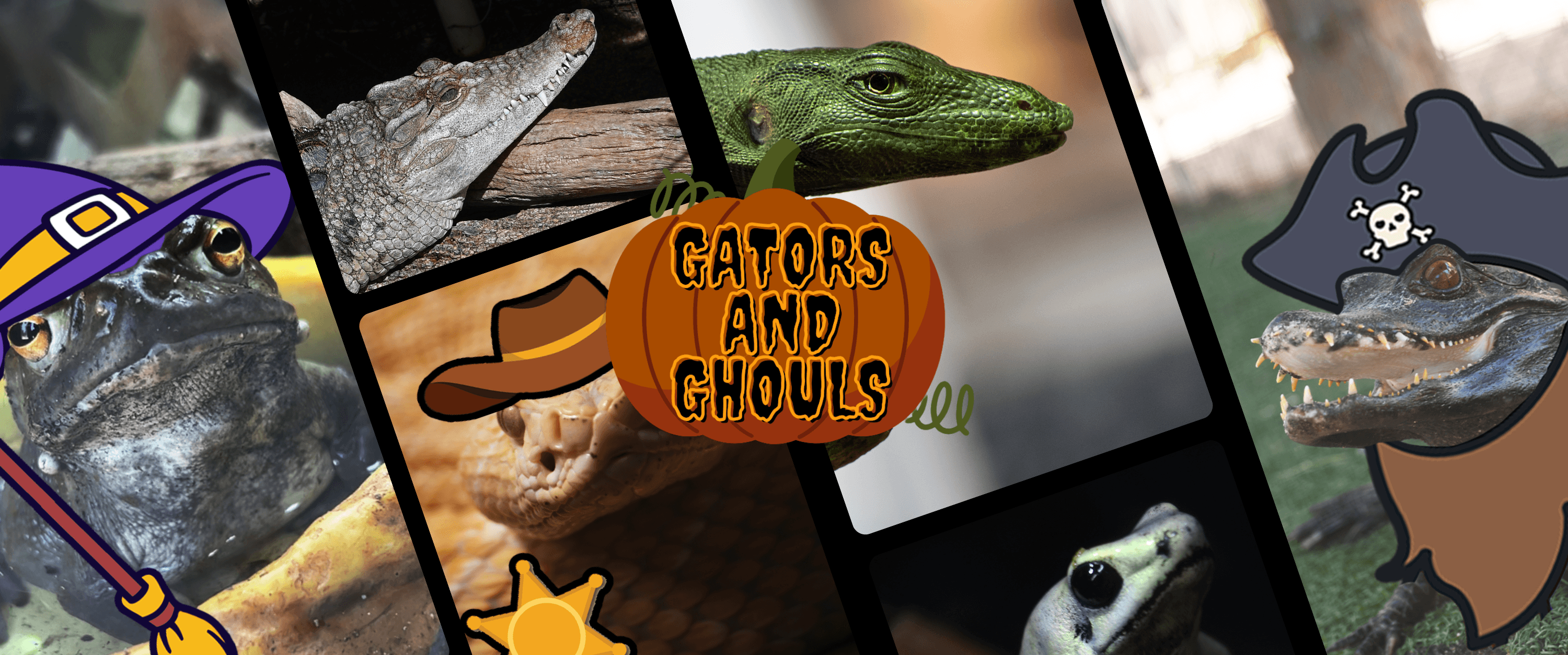 Gators and Ghouls!