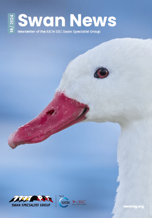 Swan News No. 19 2024 (pdf)