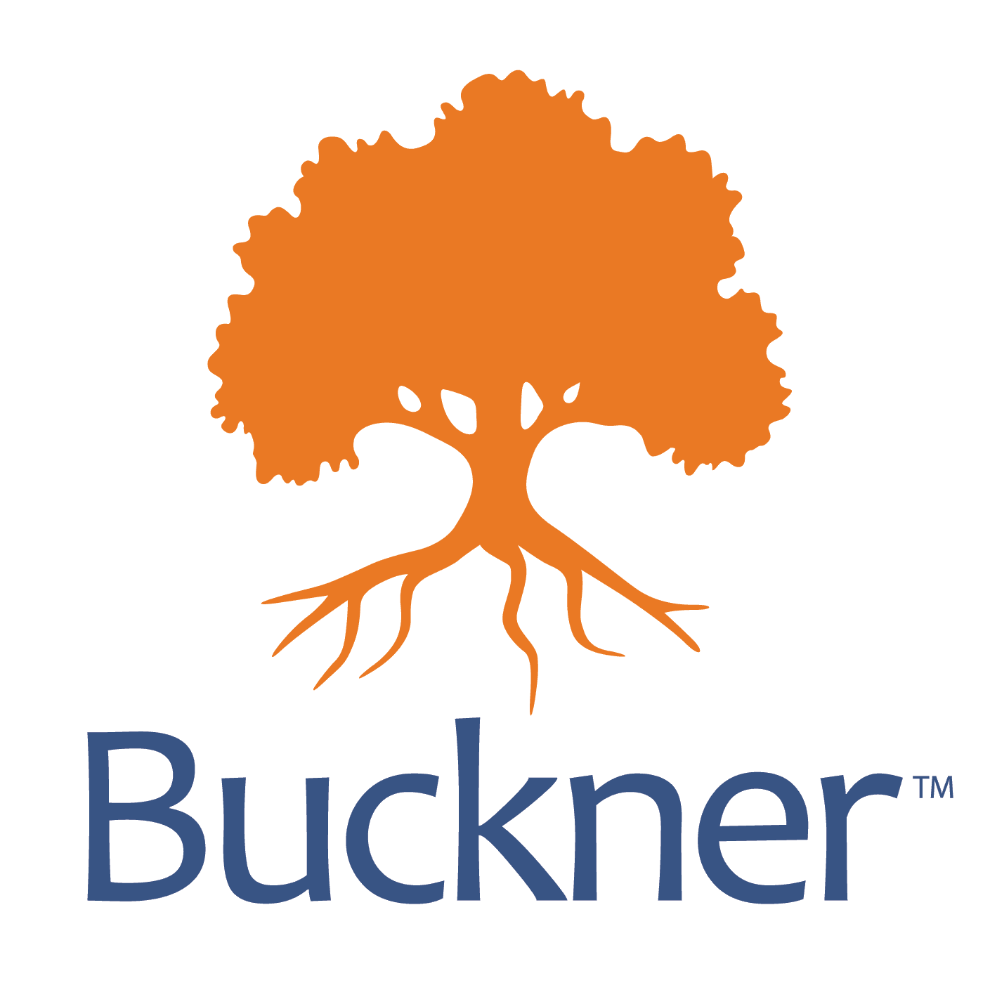 The Buckner Company 