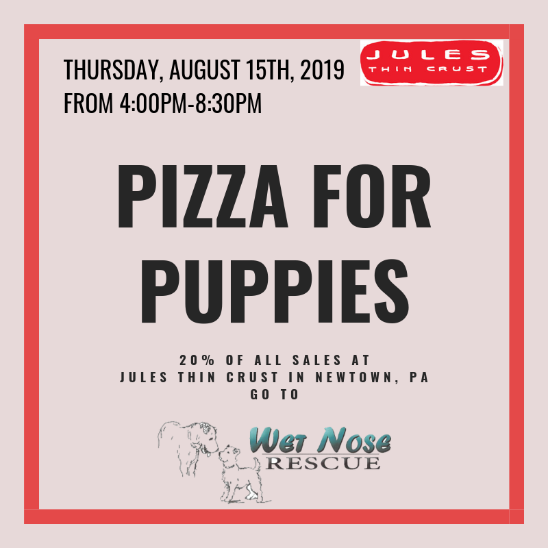Pizza and Puppies @ Jules Thin Crust