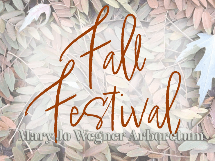 Fall Festival