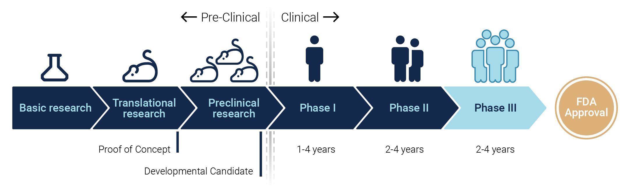 Vertex T1D Trial Moves into Phase III