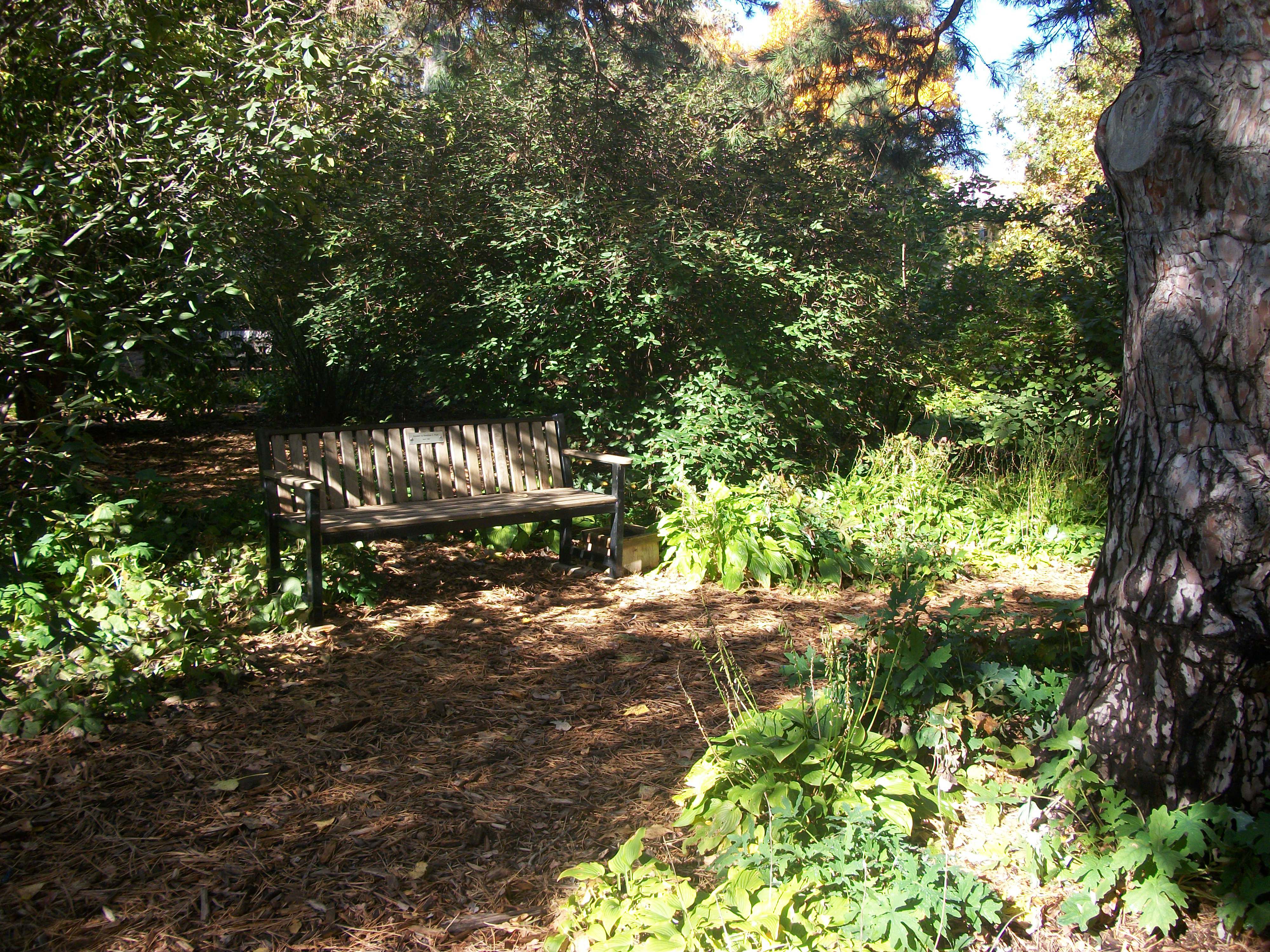 Visit a Nebraska Arboretum