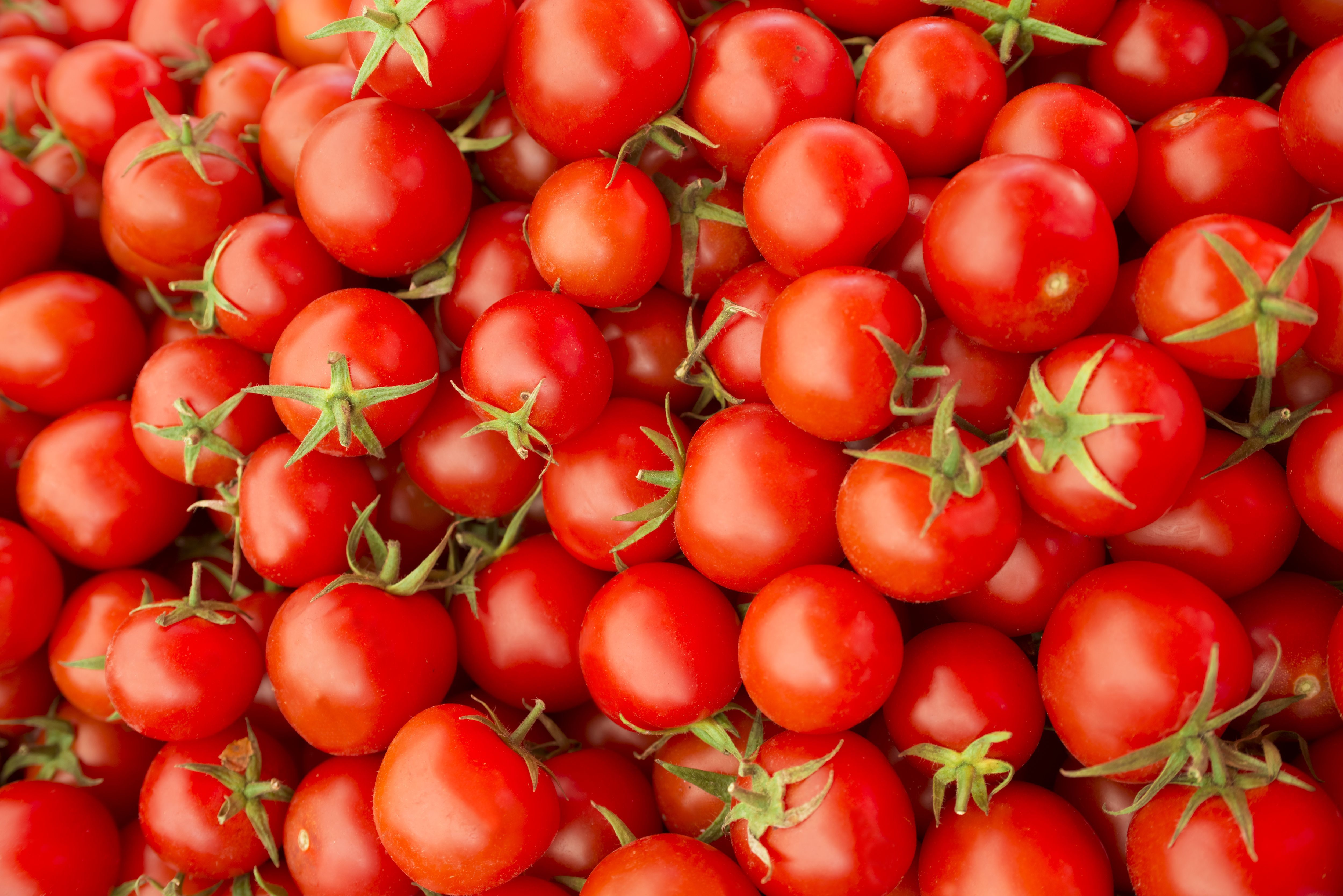 Background of fresh tomatoes