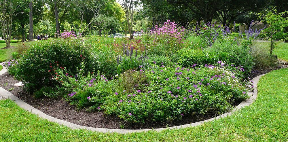 Pine Brook Pollinator Garden