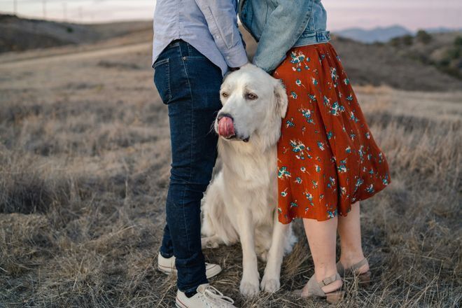 Couple standing outside with a large white dog