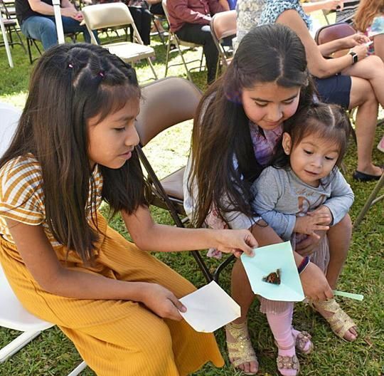 Annual Butterfly Release promotes healing