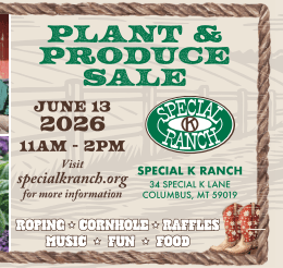 Open House 2026, June 13th, 11 am to 2 pm