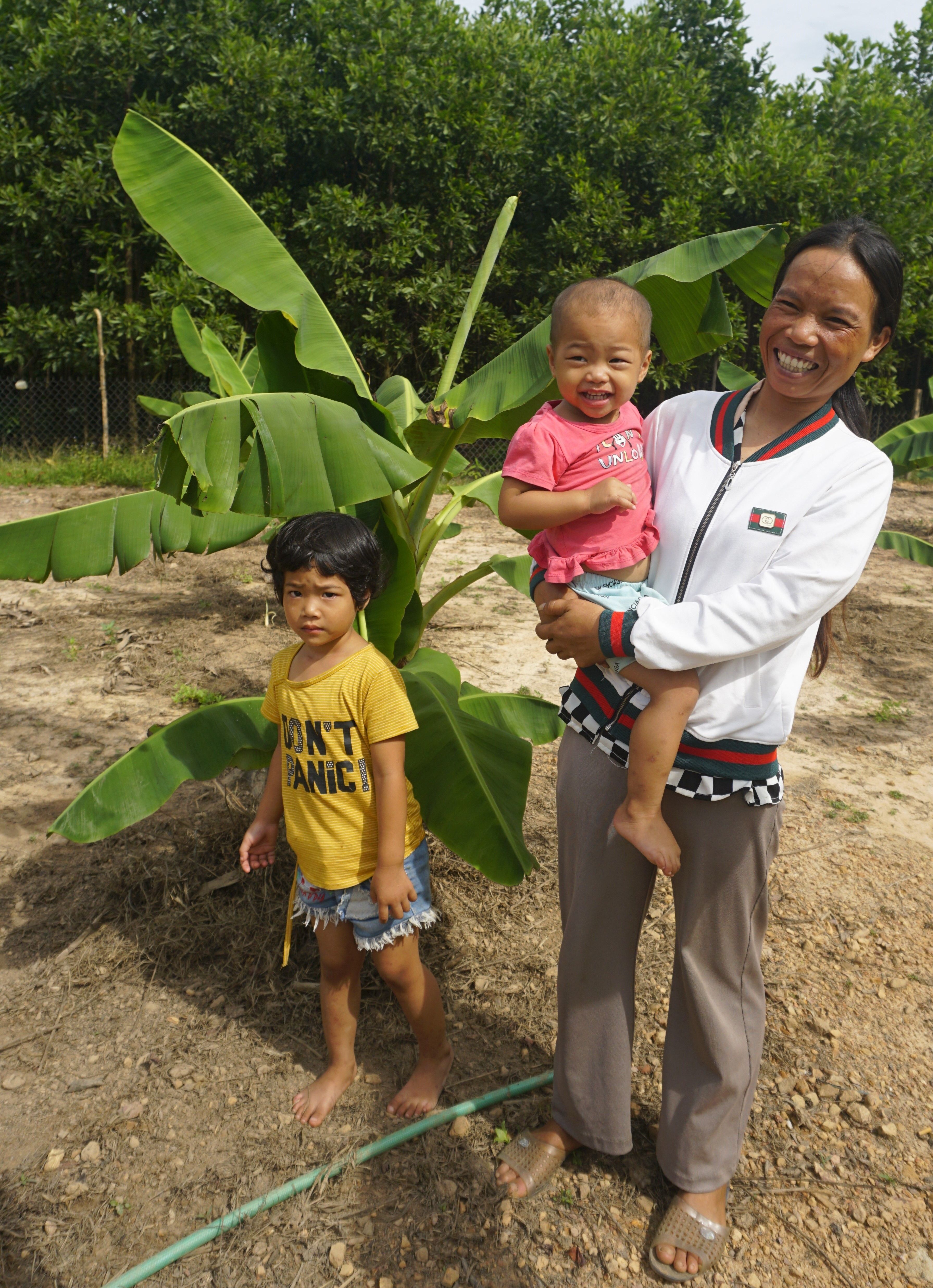 Indigenous Banana Planting