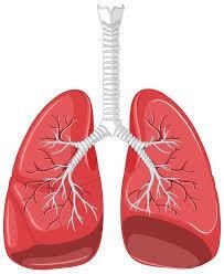 Quit Smoking and Vaping