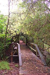 Bridge at Edith L. Moore Nature Sanctuary