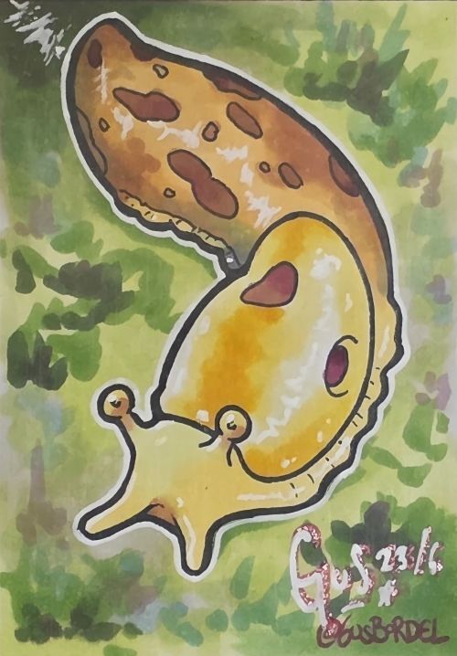Sketchcard Series - Banana Slug - Agustin "Gus" Bordel