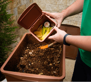 Composting: Turn Your Waste into Something Wonderful »