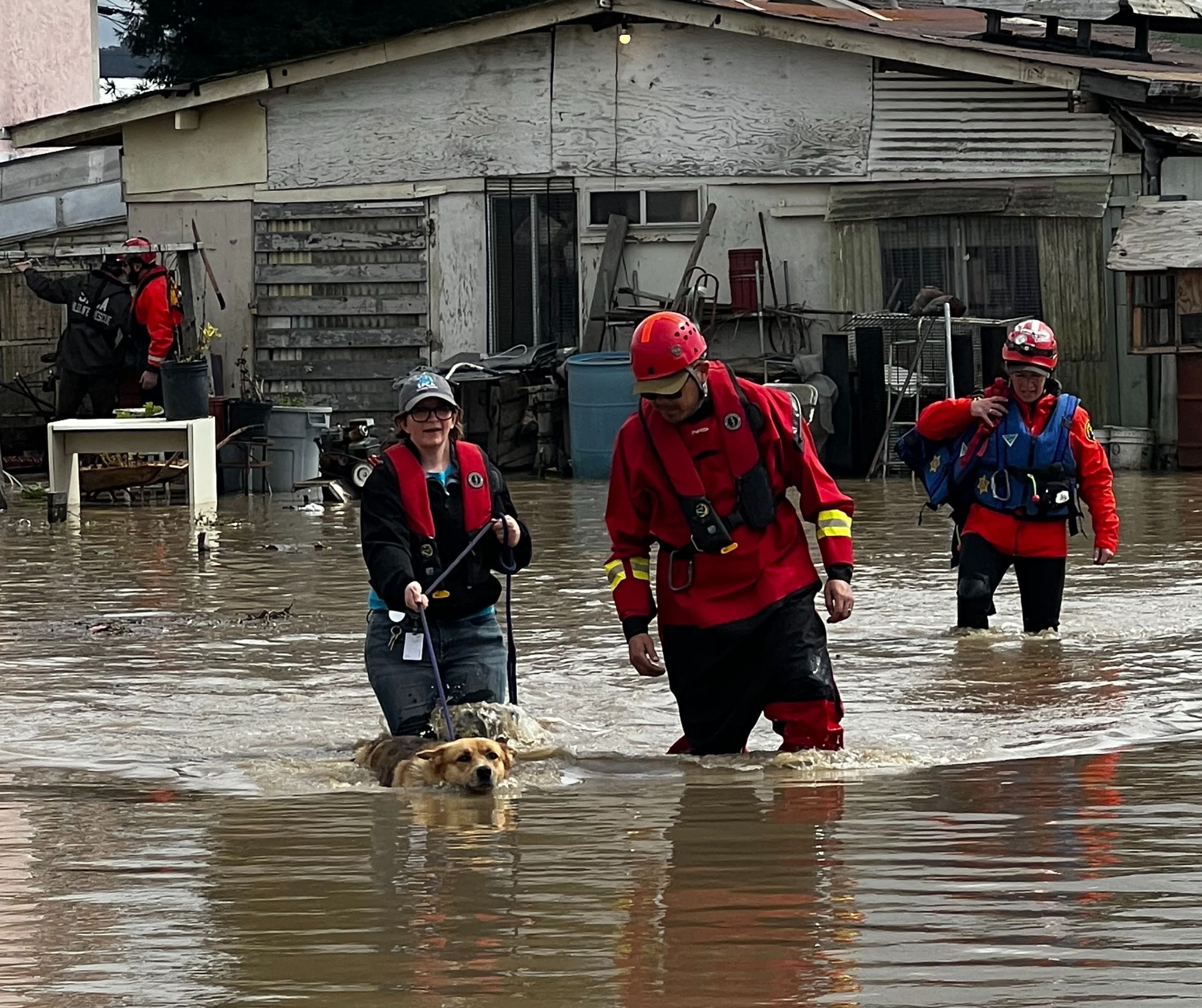 SPCA Monterey County Receives Disaster Response Grant From Petsmart Charities® For Rescues During Pajaro Flood