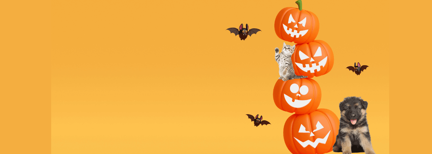 Halloween Tricks & Treats Event