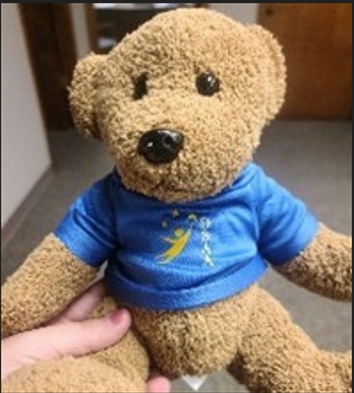 DSAA Bear