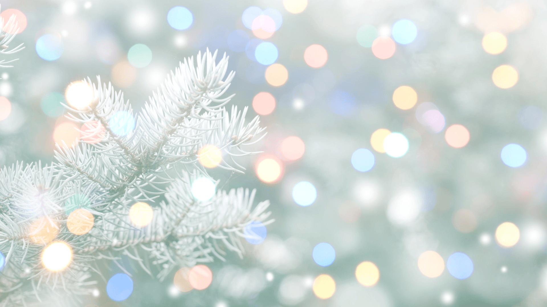 HOLIDAY GIFT PROGRAM