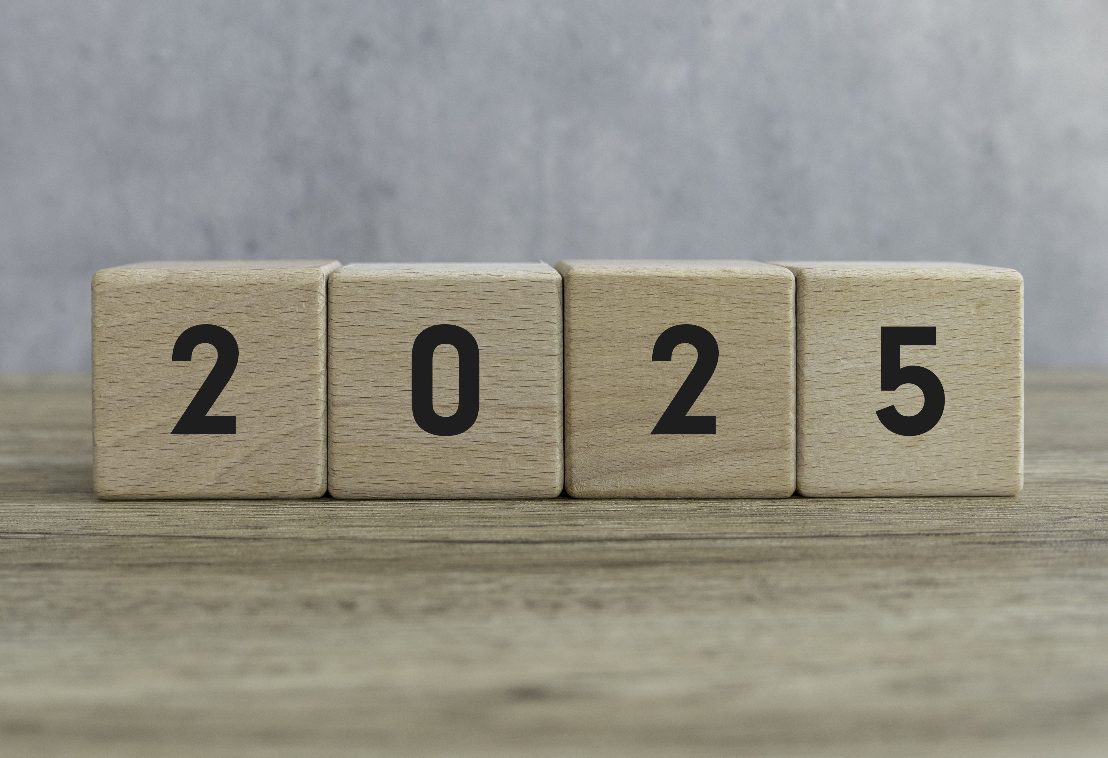 HEADLINES OF 2025: THE YEAR IN CONCORDIA BULLDOGS