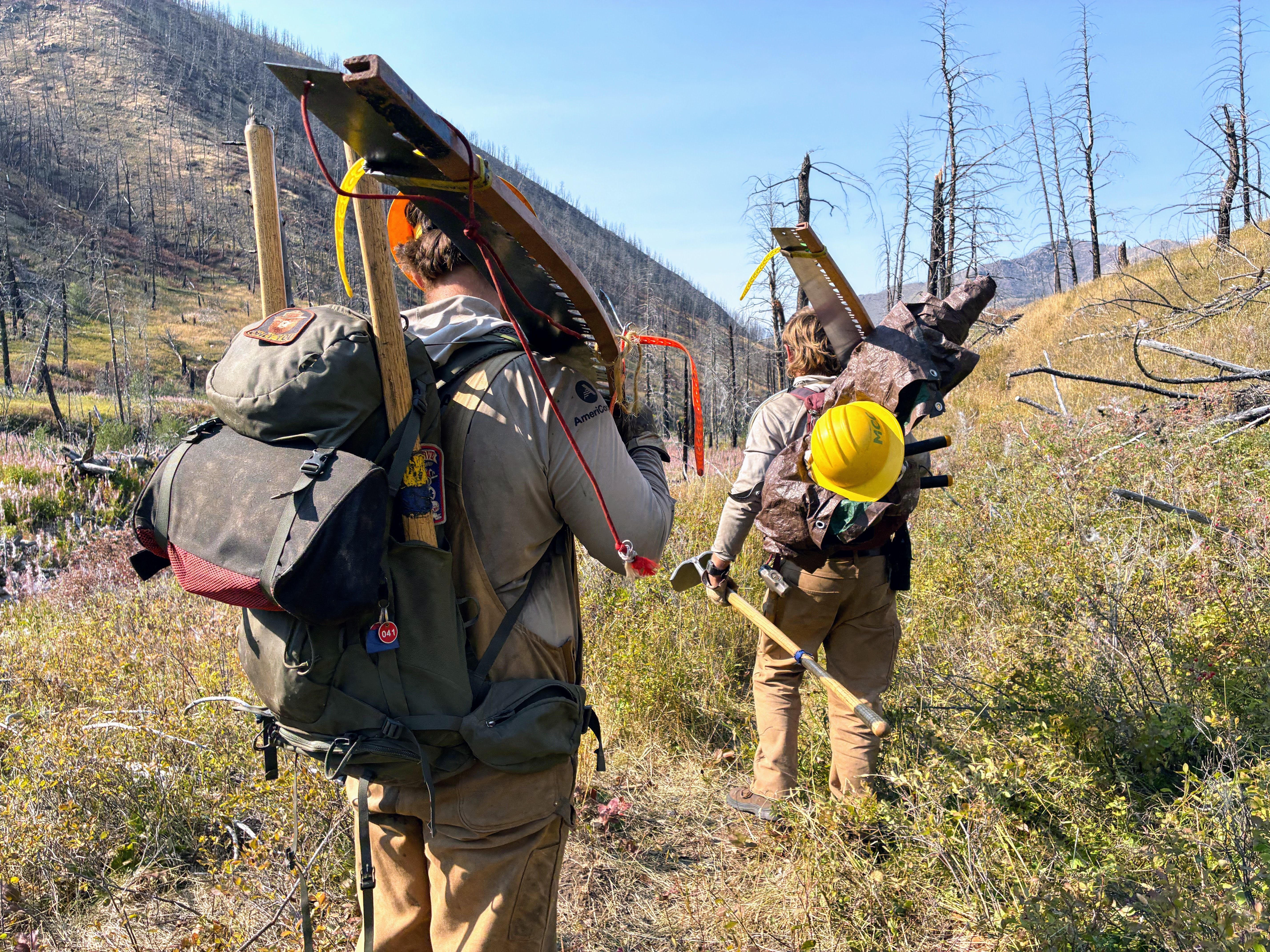 Backcountry Resiliency