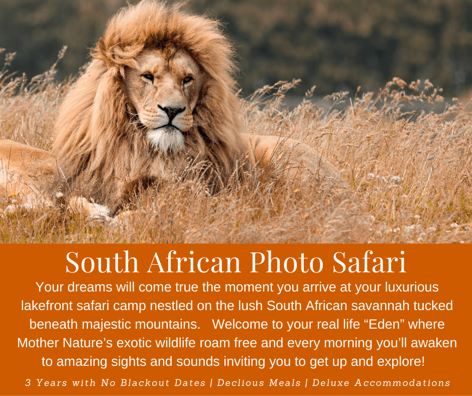 South African Photo Safari Trip