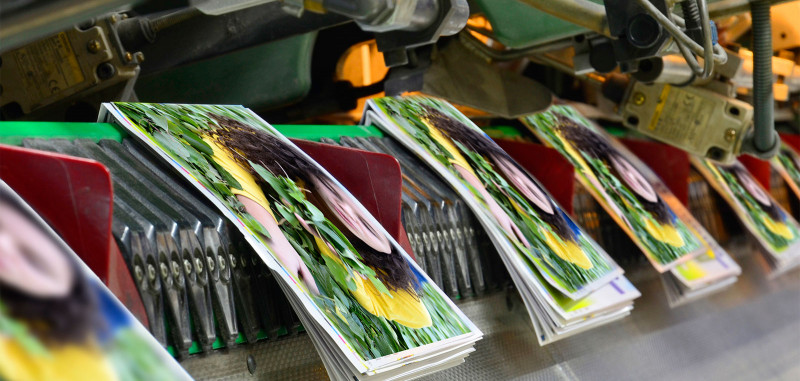 Leveraging Augmented Reality for Your Business