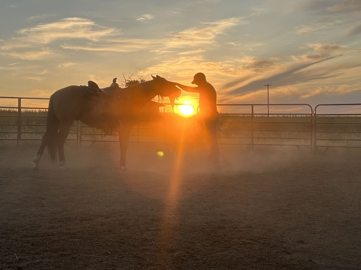 Welcome to Benevolent Warrior Ranch