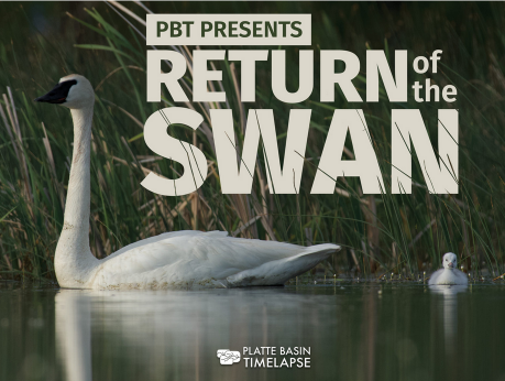 Return of the Swan_ Platte Basin Timelapse project_ film and essay